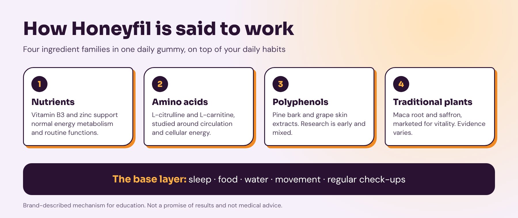 Infographic: the daily vitality loop. Honeyfil is said to work through nutrients, amino acids and plant extracts, with sleep, food, water and movement as the baseline